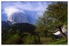 1/alpes 62 (Small).jpg